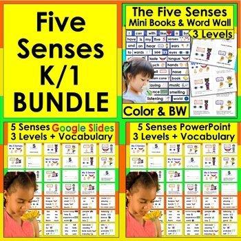 Five Senses K1 Bundle